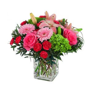 Home Page 1 Elementor 30 300x300