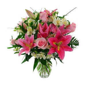 Fusce orci zasima 14 300x300