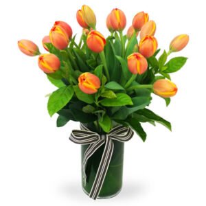 Hazen duma pote 15 300x300