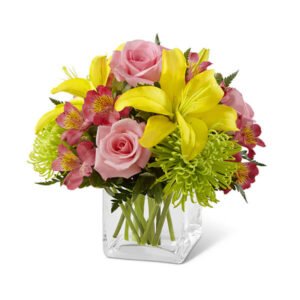 Home Page 1 Elementor 18 300x300