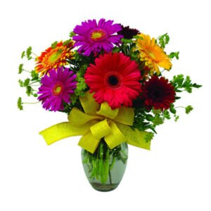 Home Page 1 Elementor 20 300x300