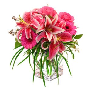 Maecen sit maze 8 300x300