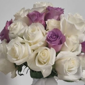 Home Page 1 Elementor Artboard 3 300x300